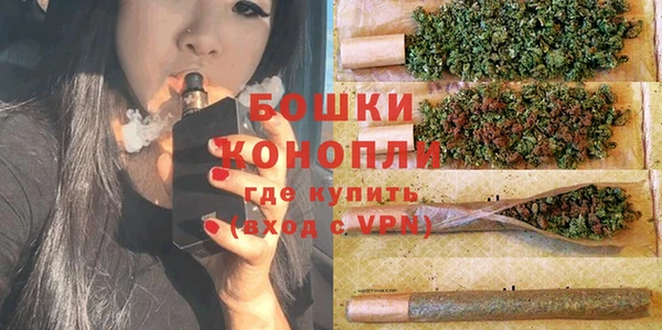 твердый Ельня