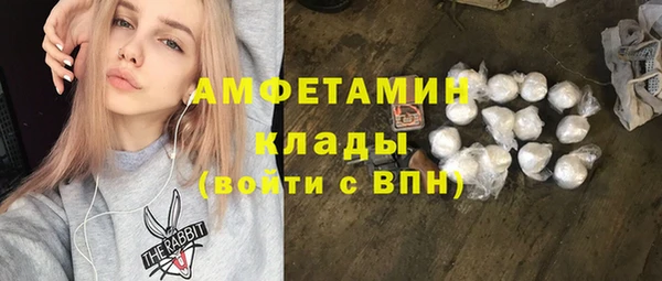 ГАЛЛЮЦИНОГЕННЫЕ ГРИБЫ Алзамай