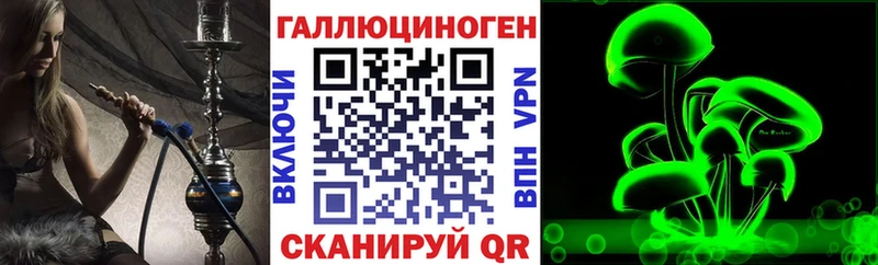 закладка  Учалы  Псилоцибиновые грибы Cubensis 