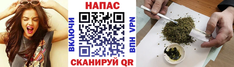 Бошки Шишки ГИДРОПОН  Учалы 